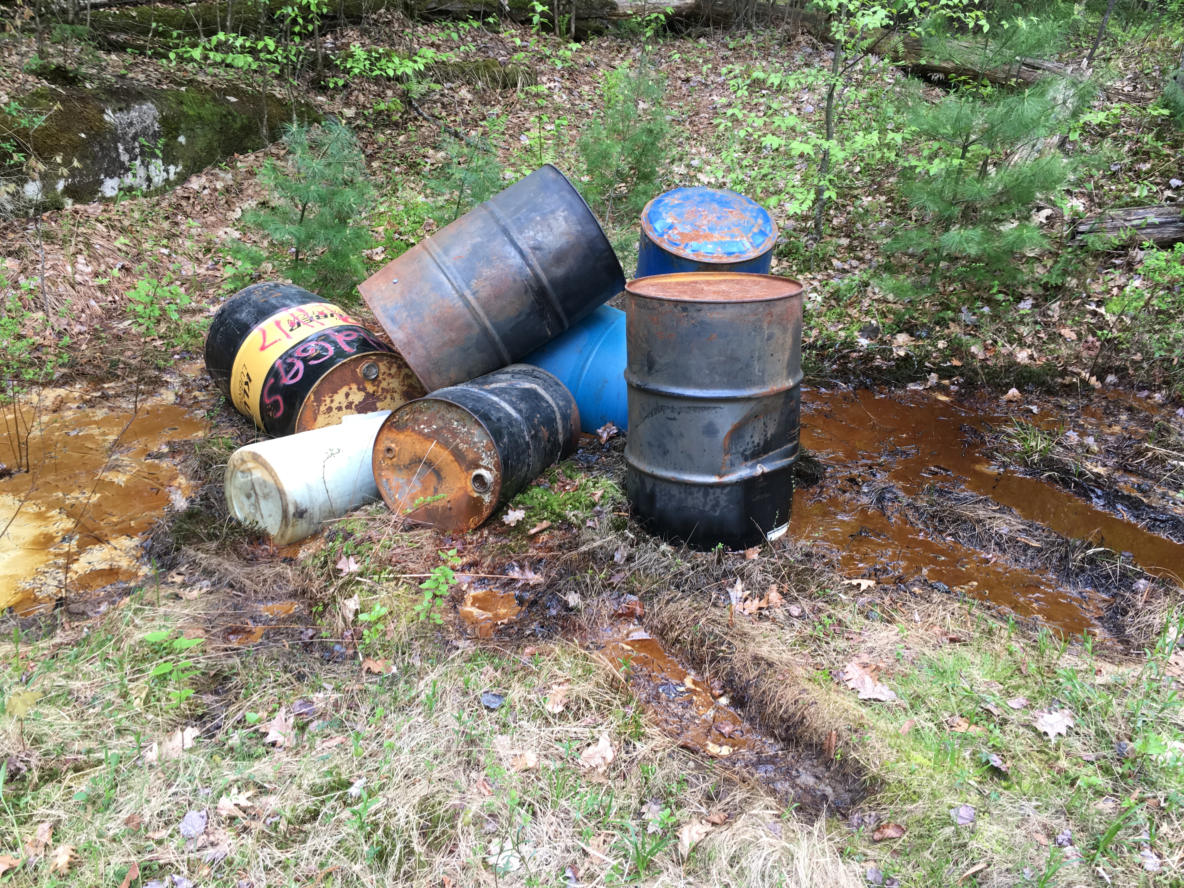 waste drums dumped in a field