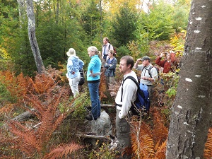 the site selection committee surveys a wetland