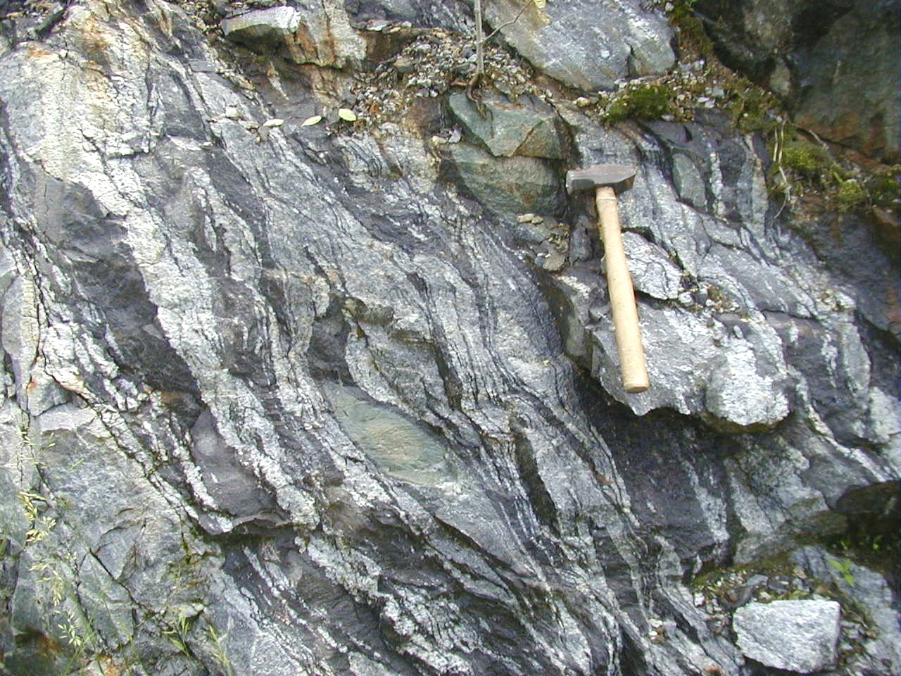 a close-up of gneiss
