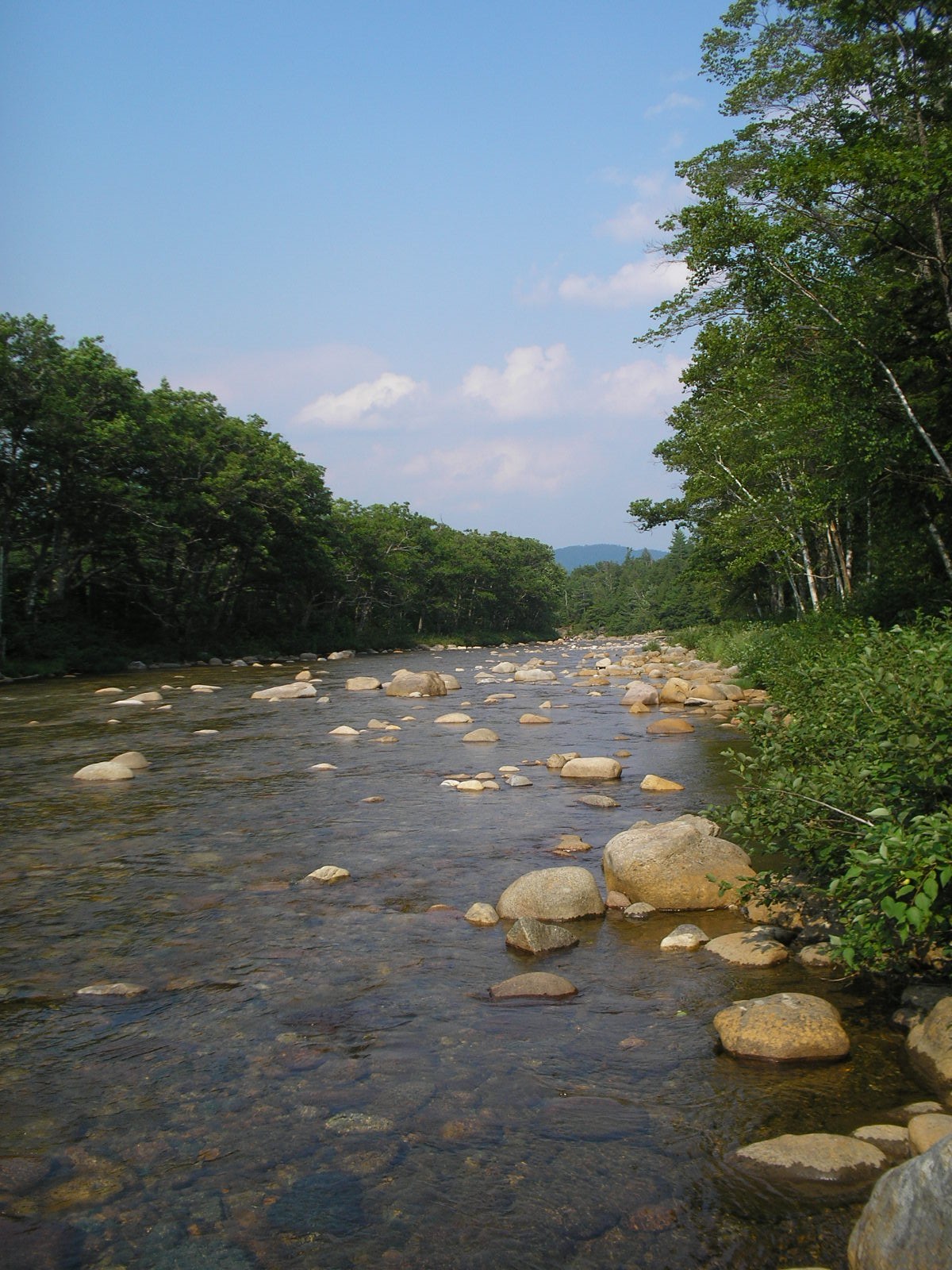 Saco River, courtesy of VRAP