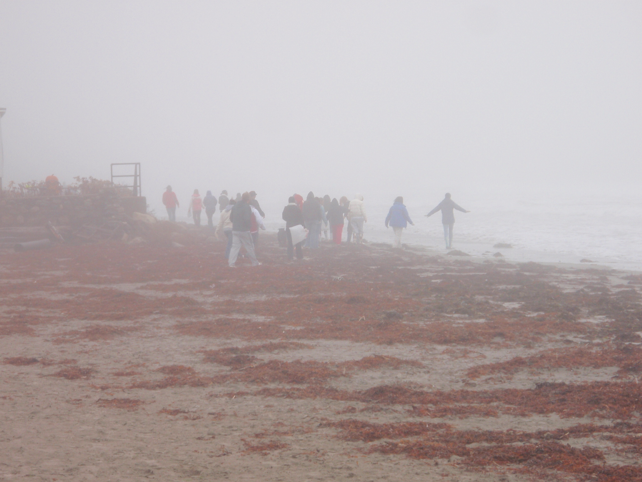 group of volunteers cleaning up the beach in the fog