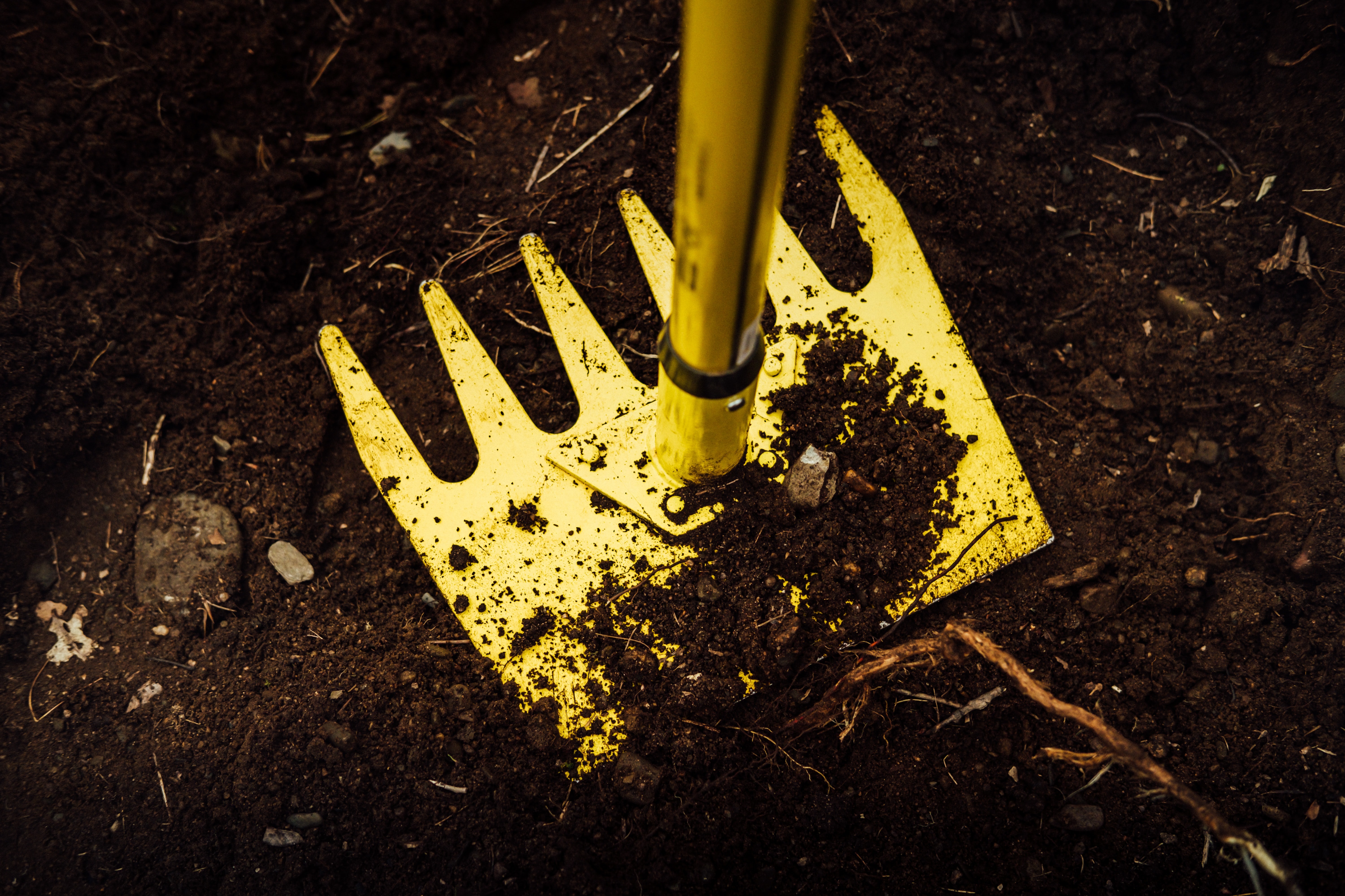 A yellow landscaping rake pressed into dark brown dirt