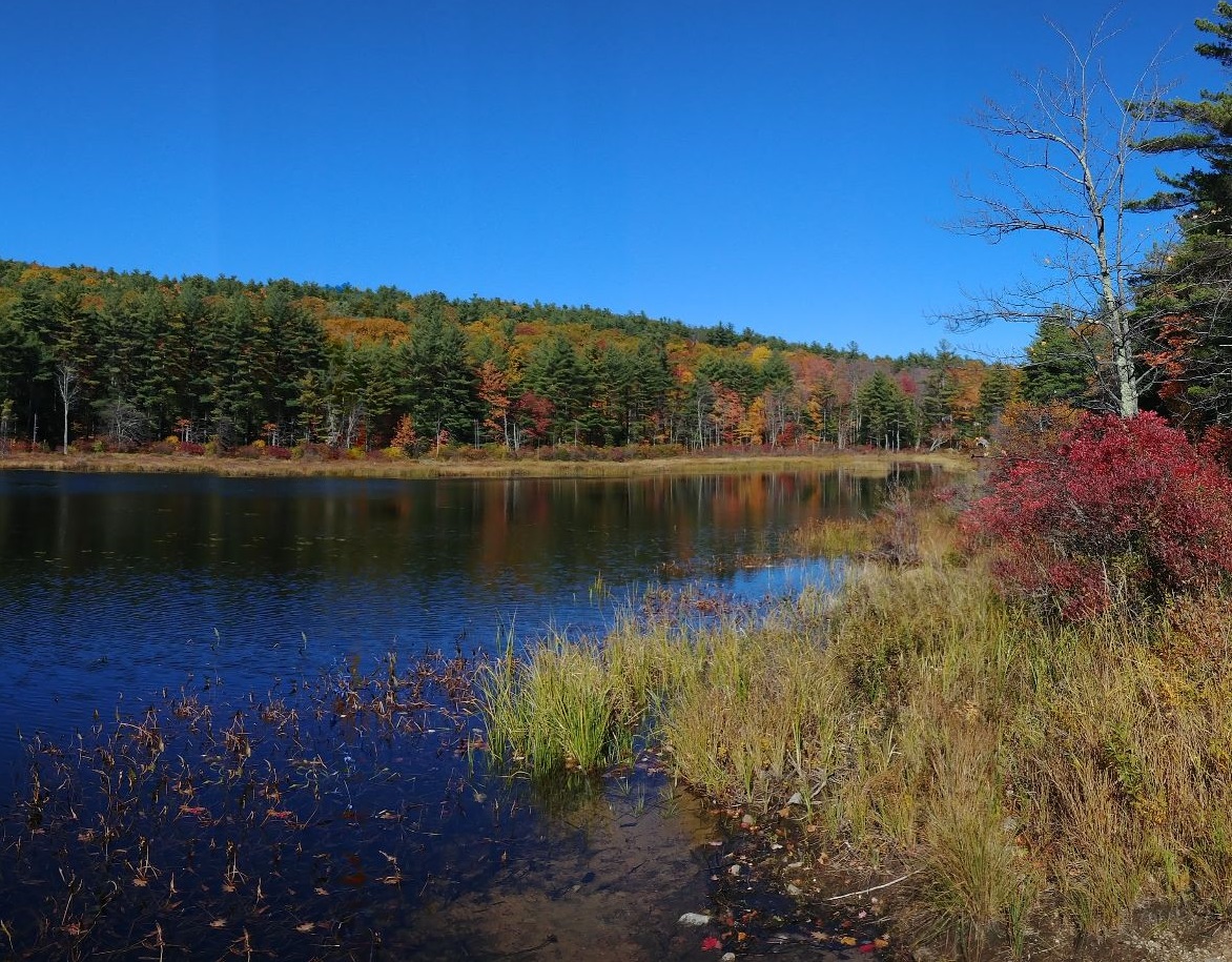 an image of a serene lake lined with fall-colored trees