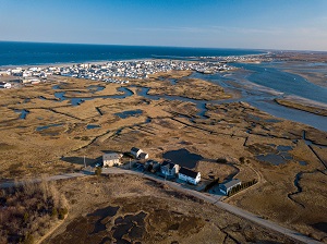 Aerial view of coastal marshes.