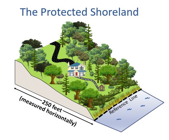 The protected shoreland is within 250 feet of the reference line of public waters. 