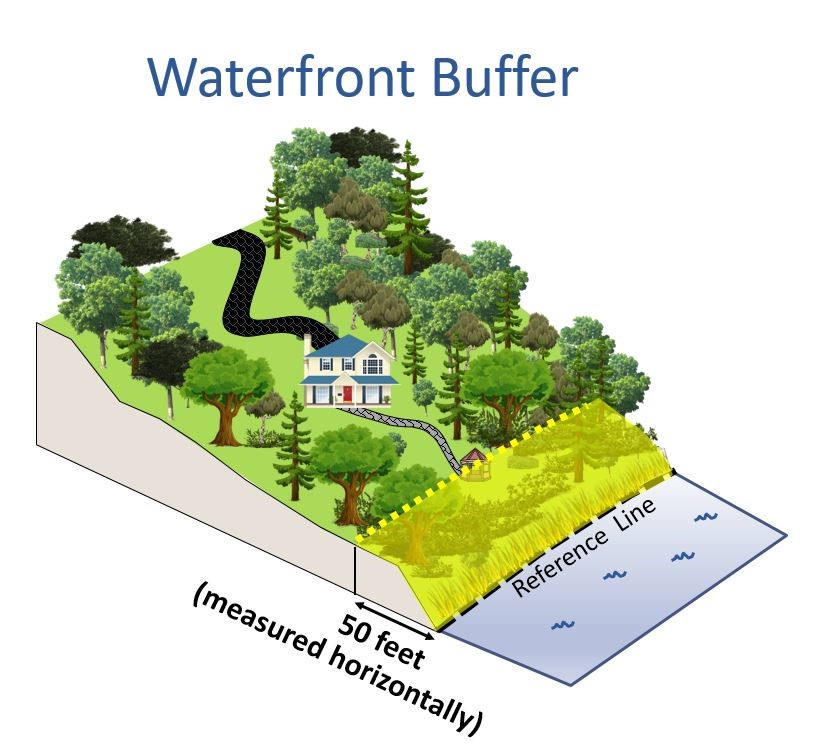 The waterfront buffer is the area of the protected shoreland located within 50 feet of the reference line of public waters. 