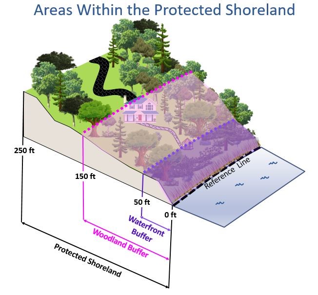 The woodland buffer is the area of the protected shoreland located within 150 feet of the reference line of public waters. 