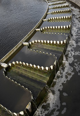 Wastewater flowing through the teeth of a secondary clarifier.