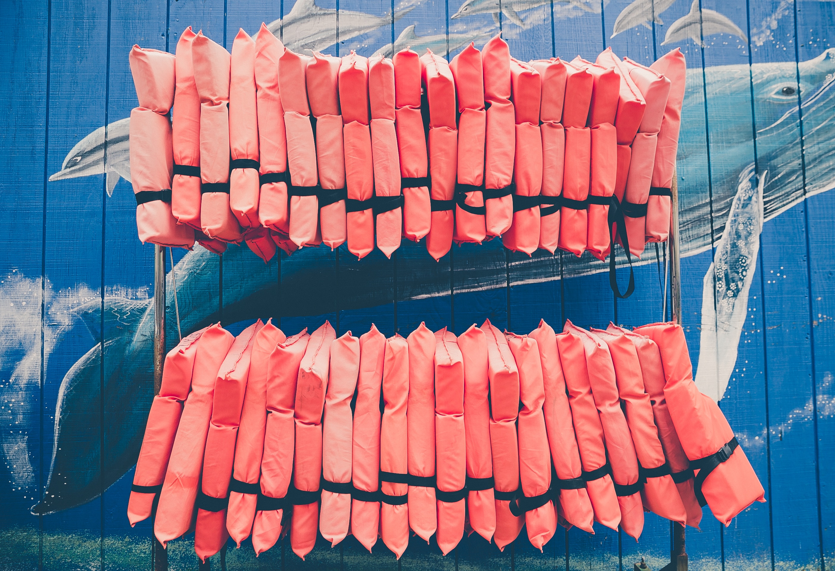 a row of red life vests