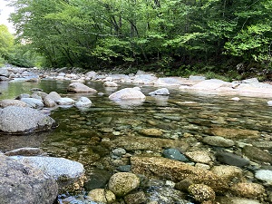 A stream flows over rocks