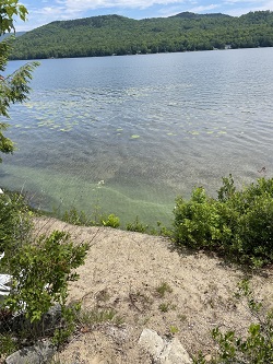 green cyanobacteria on a shoreline