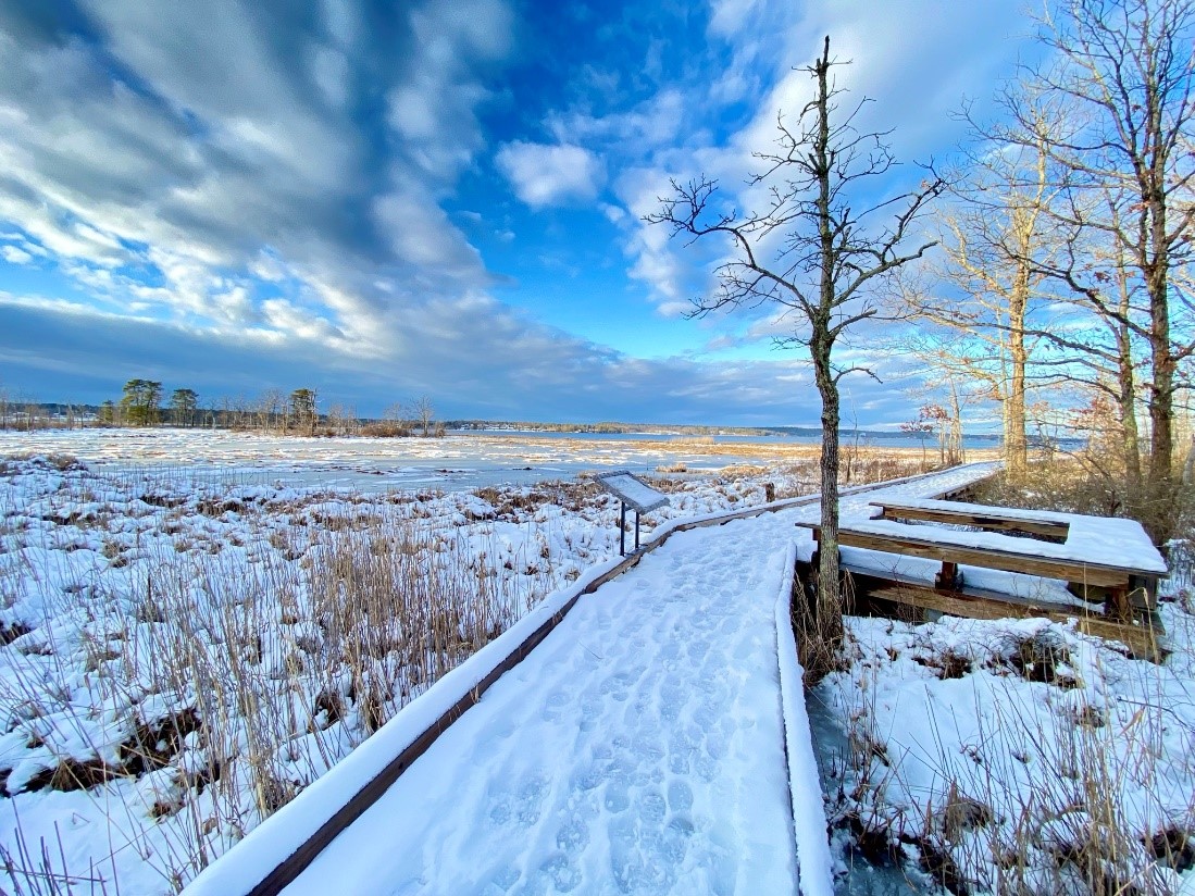 a snow covered boardwalk leads to the bay