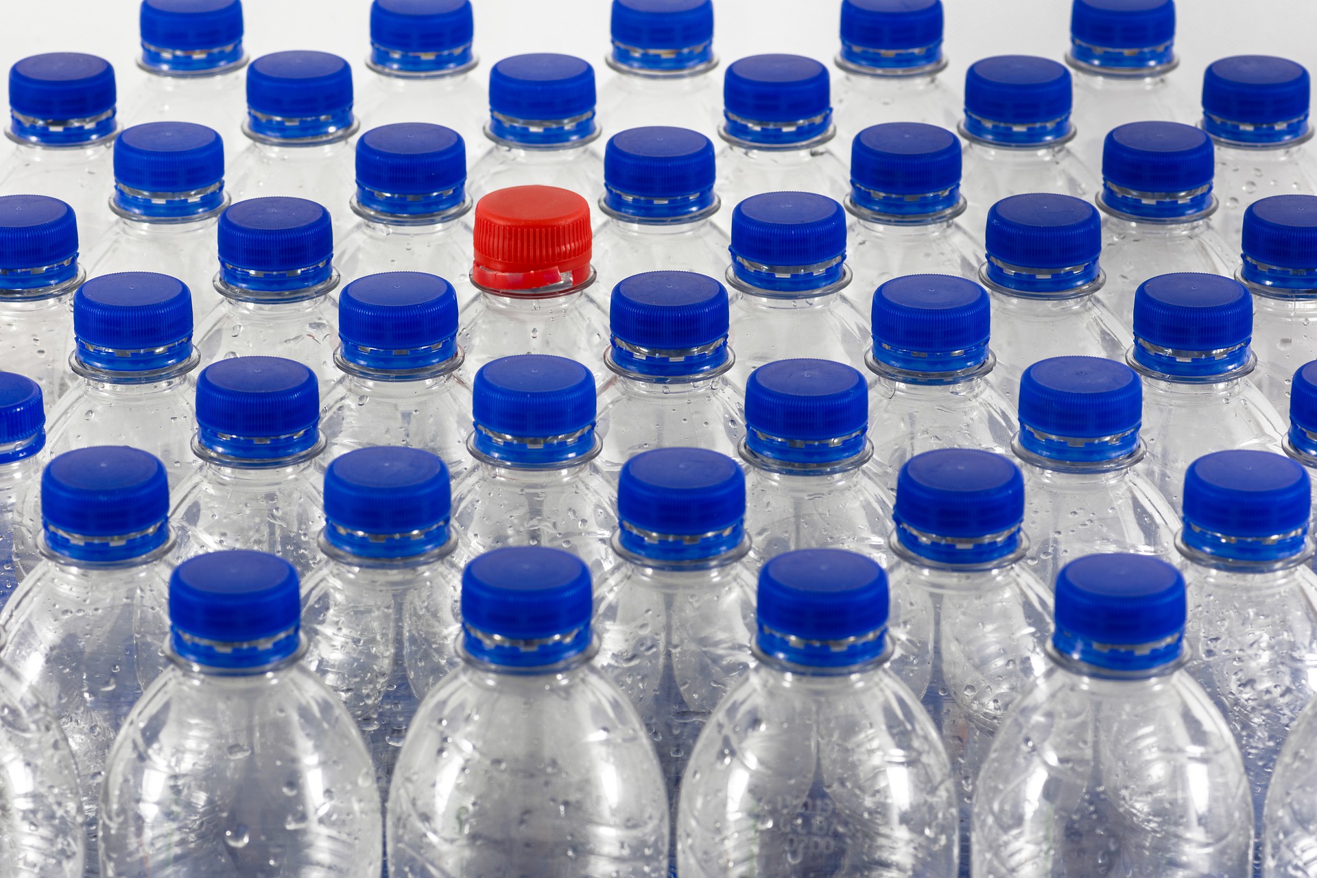 close-up of rows of water bottles