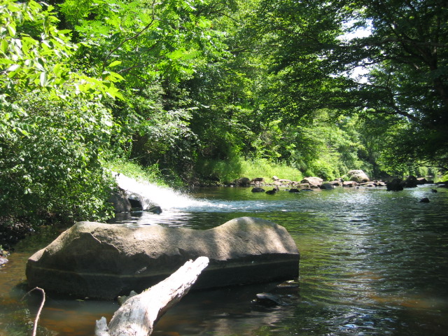 image of the Cocheco river, courtesy of the VRAP program