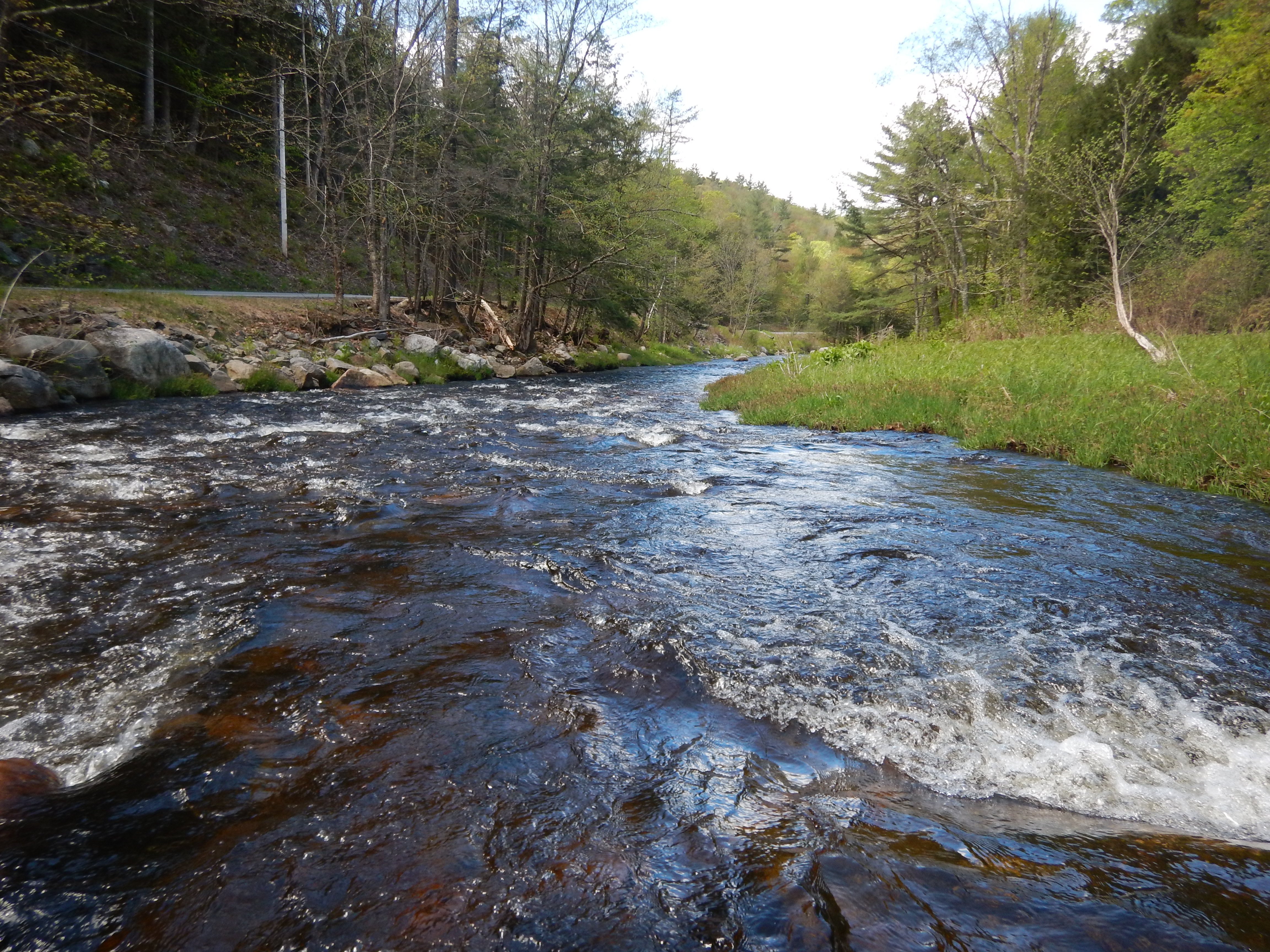 photo of the Cold River, courtesy of the Instream Flow Program, 2019