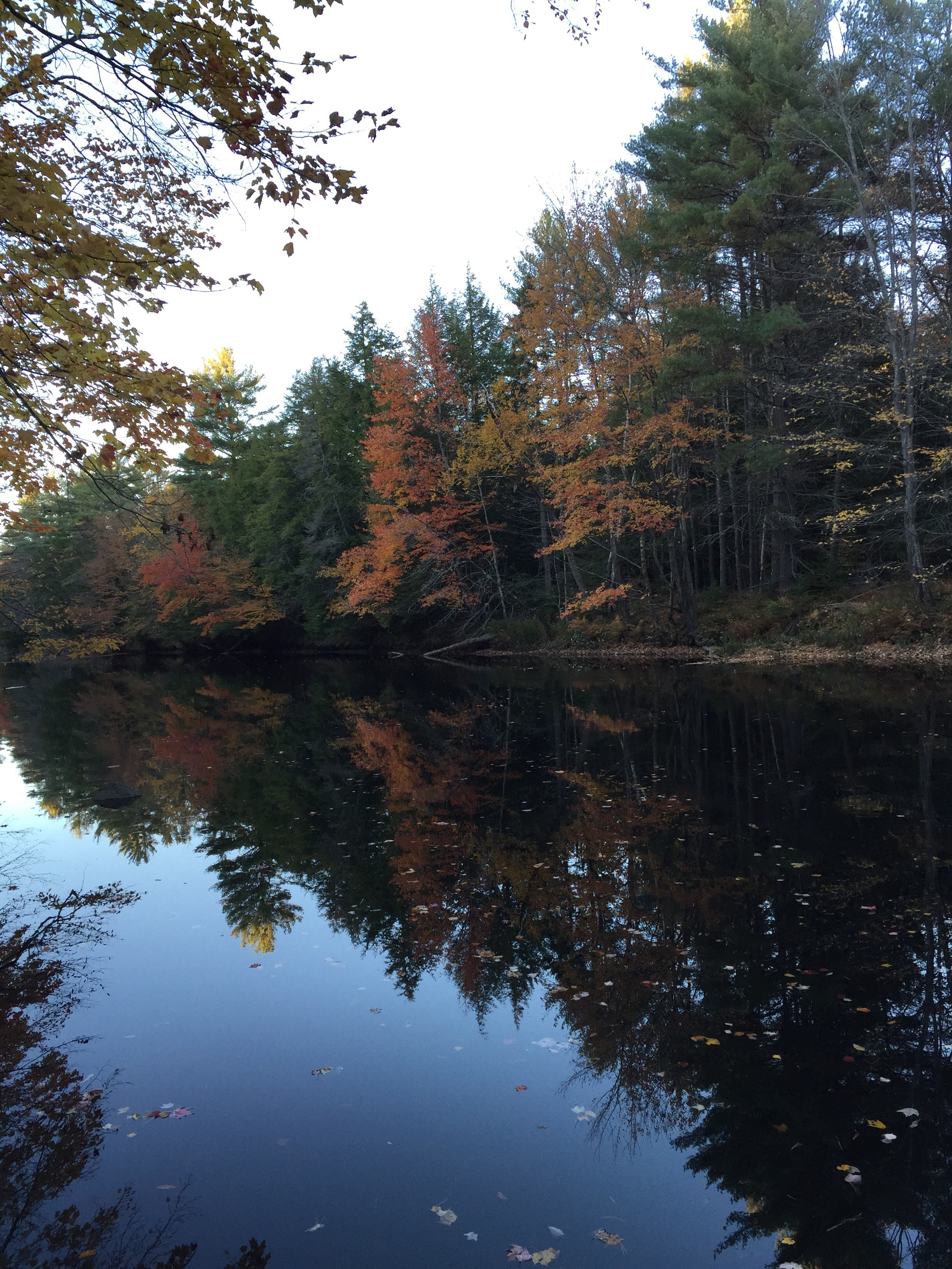 photo of the Contoocook river in fall 2016