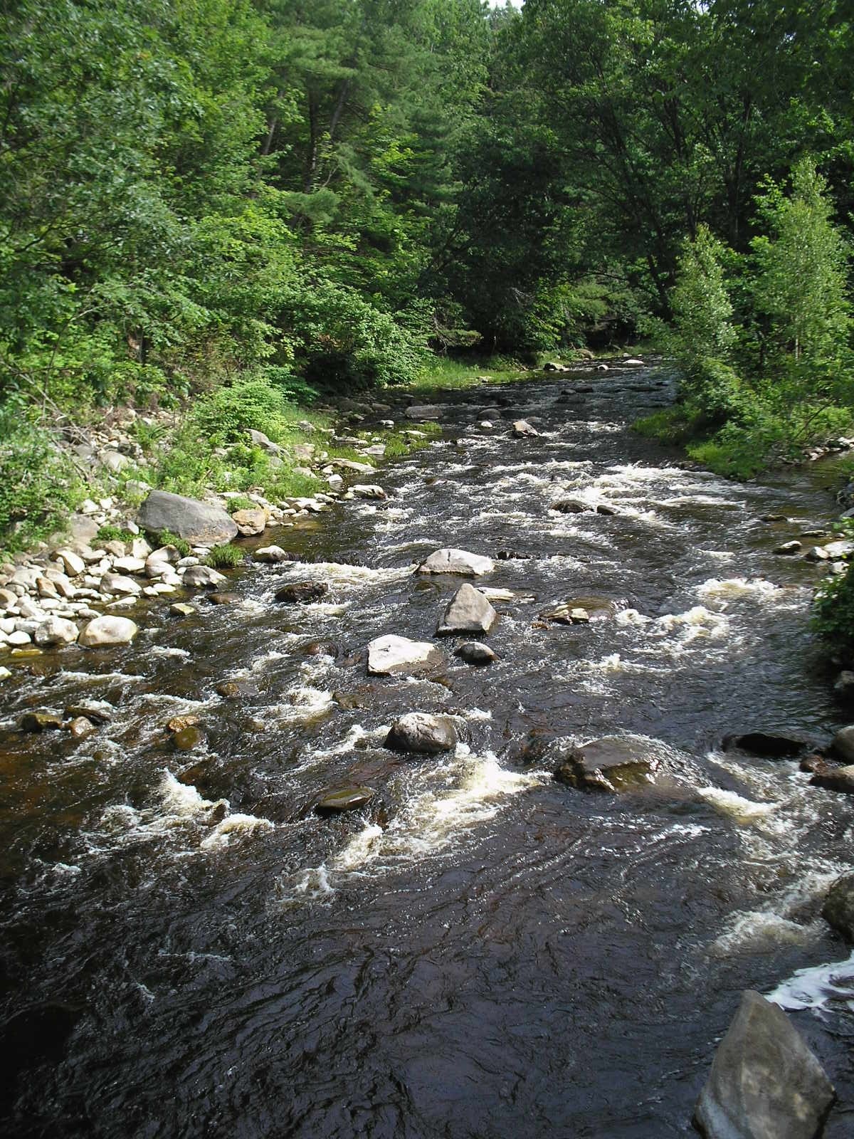 an image of a river going past rocks