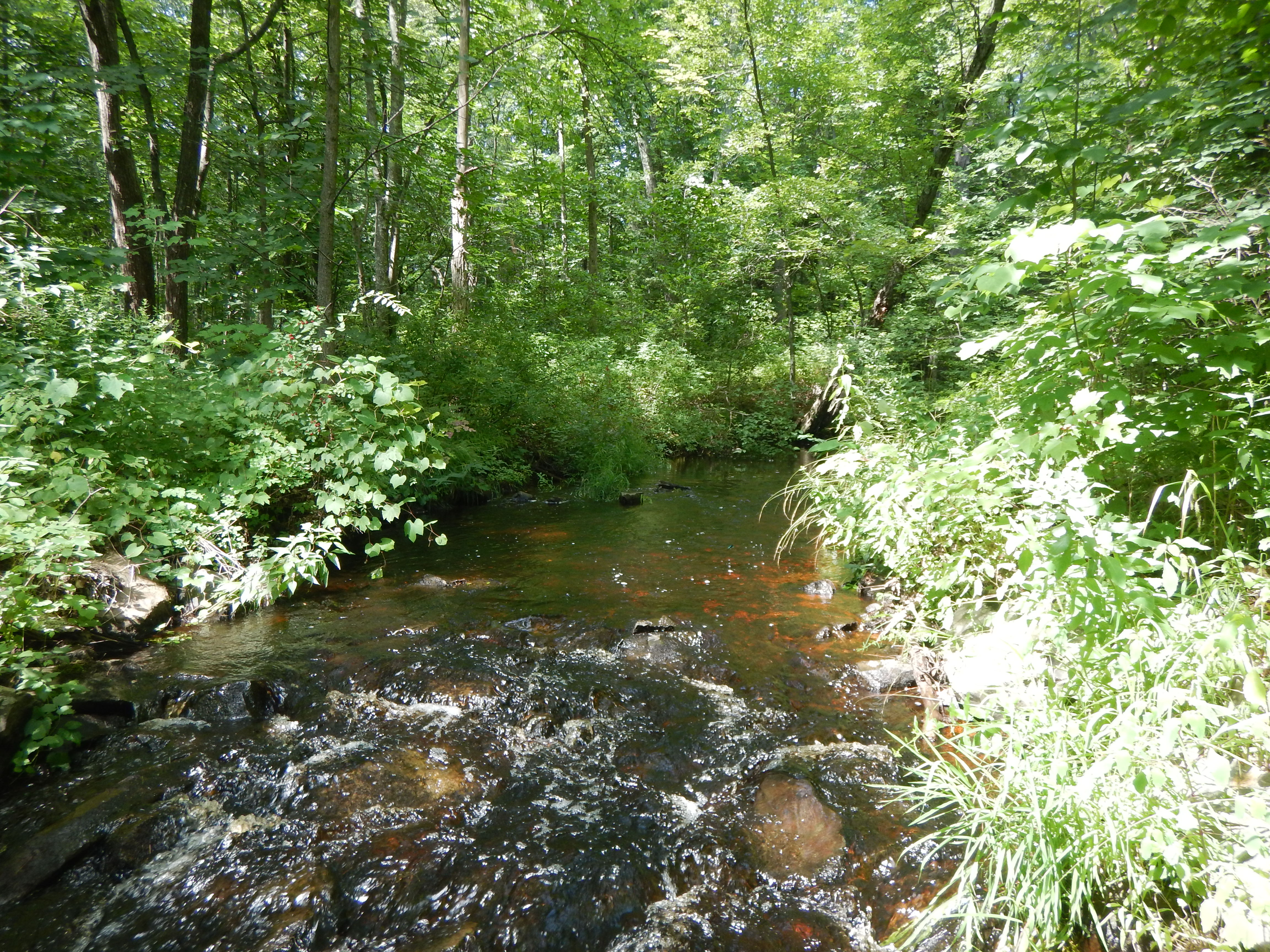 photo of Oyster River, courtesy of Instream Flow Program 2018