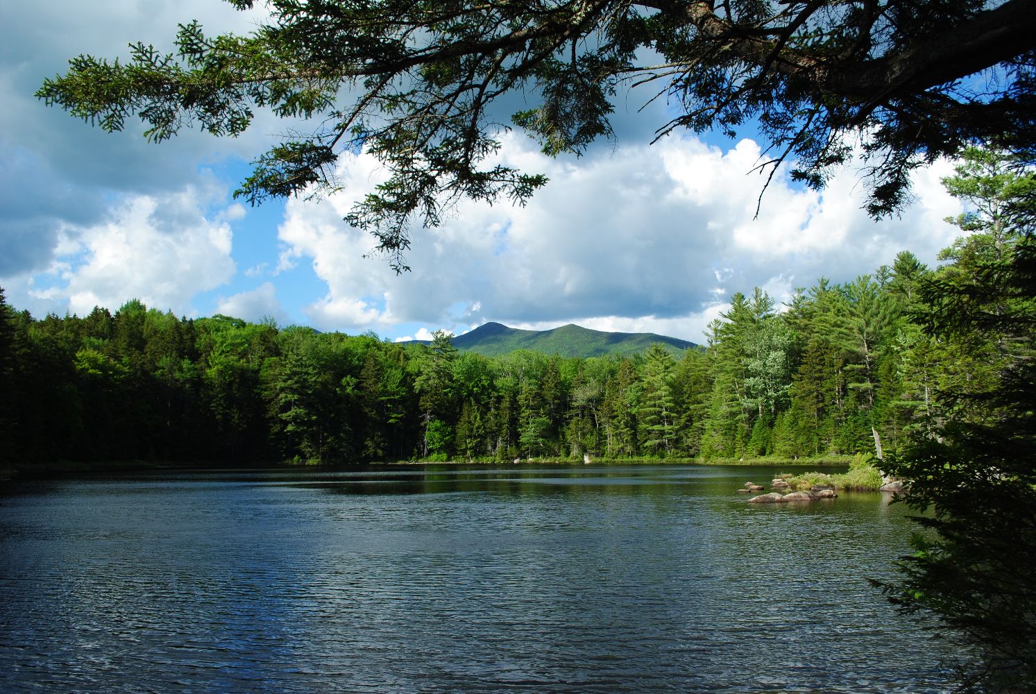 an image of a lake surrounded by forest