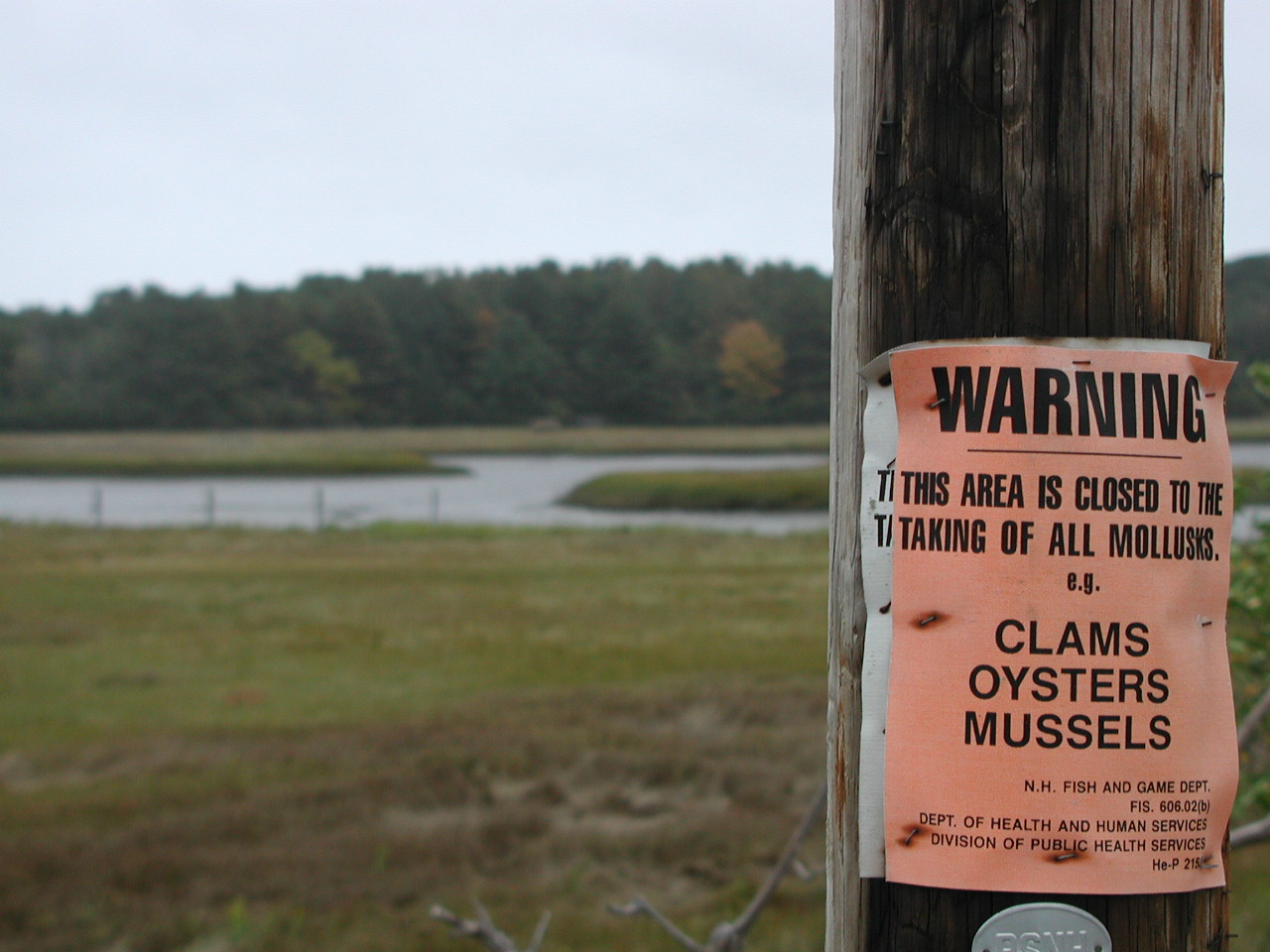 photo of sign closing an area to harvesting of clams oysters and mussels