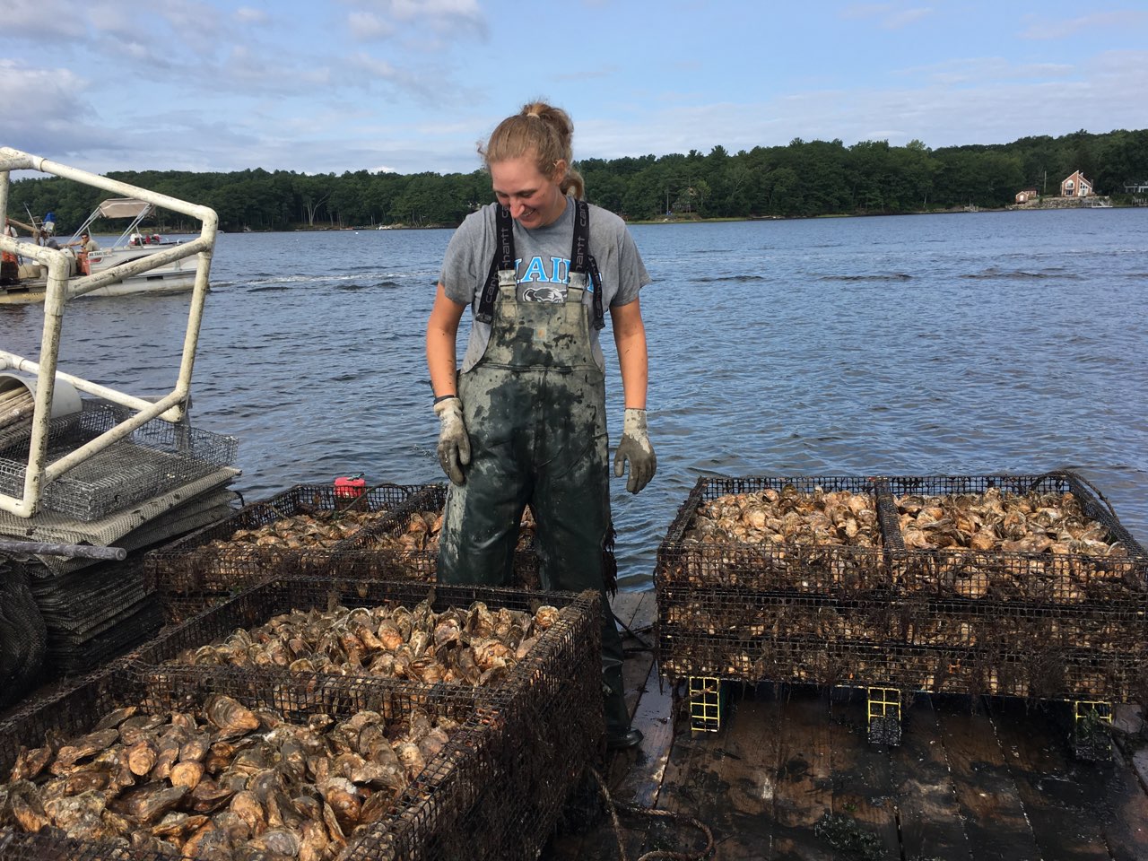 photo of a commercial shellfish aquaculture operation in New Hampshire 