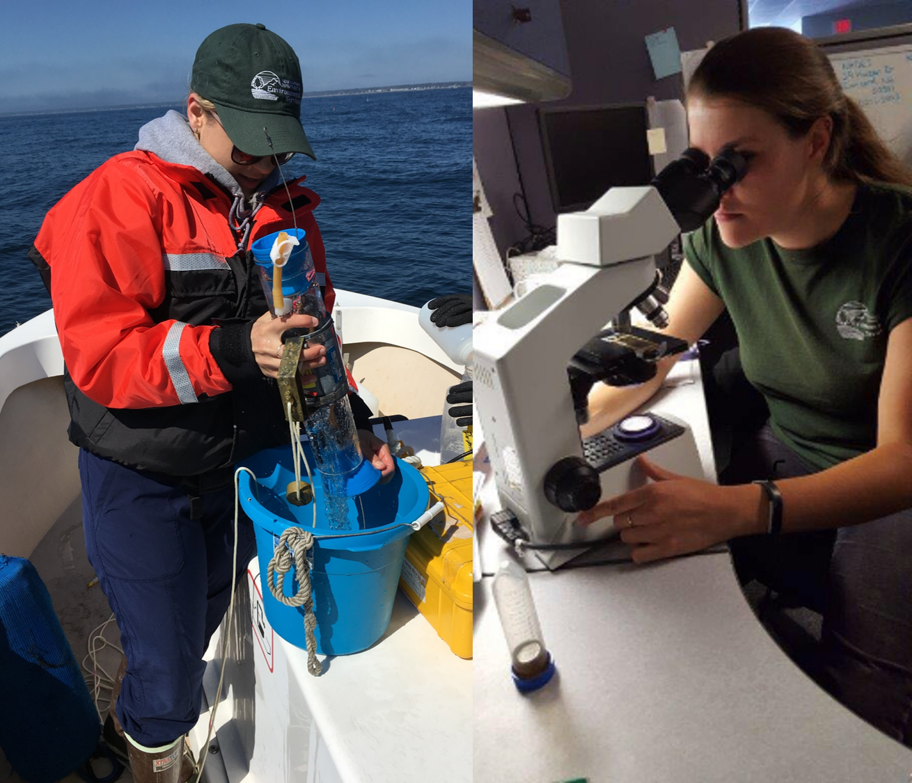 photo of person collecting a phytoplankton/red tide sample and photo of someone else identifying phytoplankton using a microscope