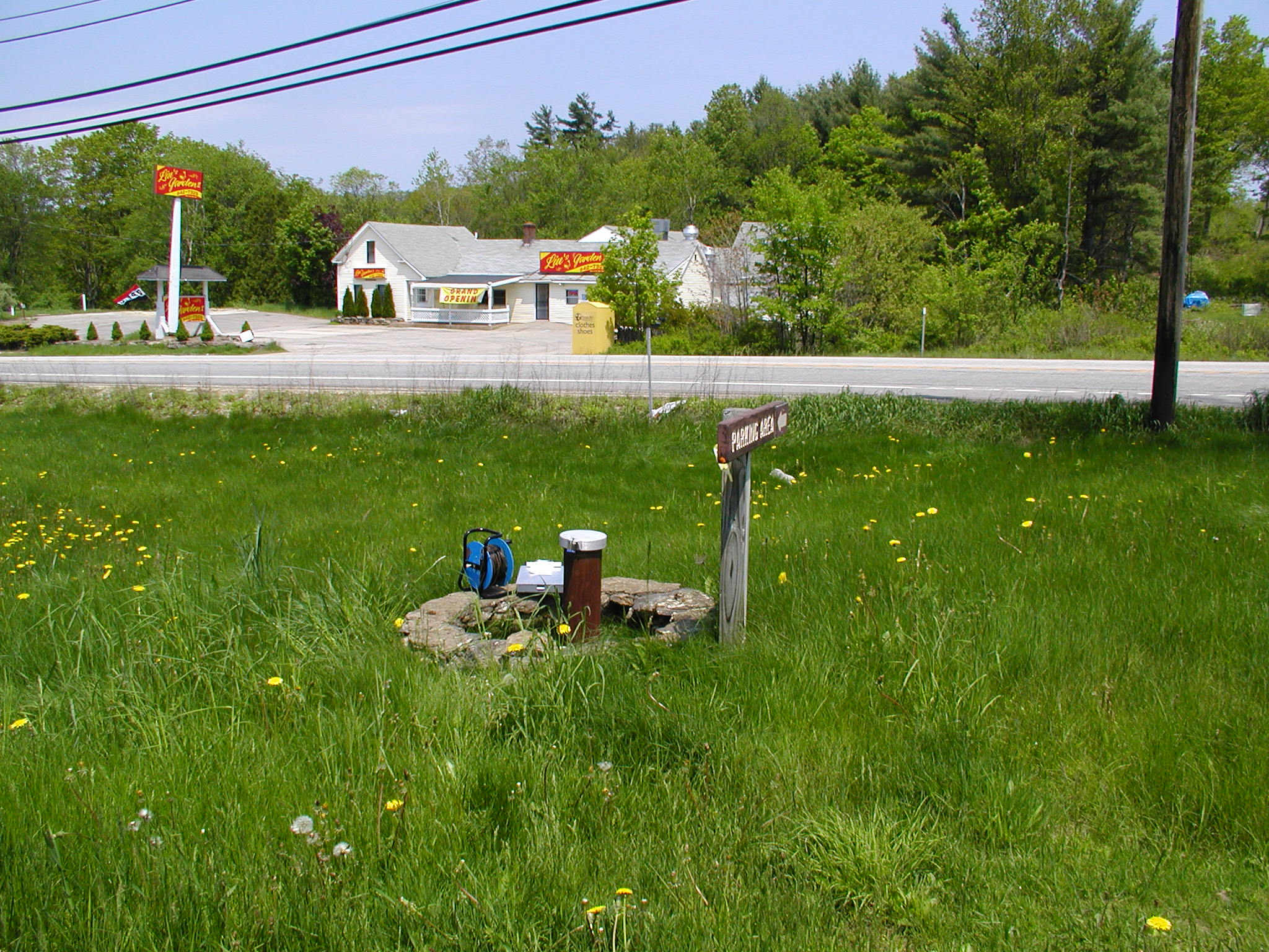 image of a well in tall grass