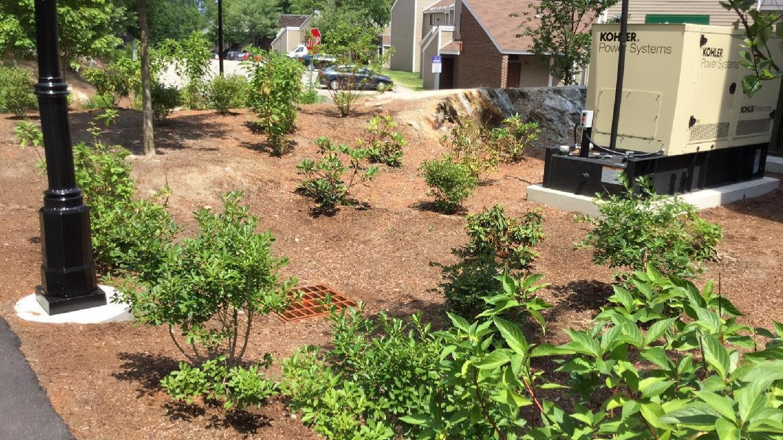 An example of a rain garden to help with stormwater runoff.