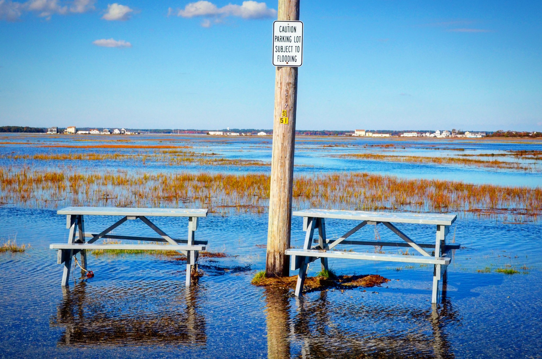 two picnic tables and telephone pole surrounded by water during King Tide.