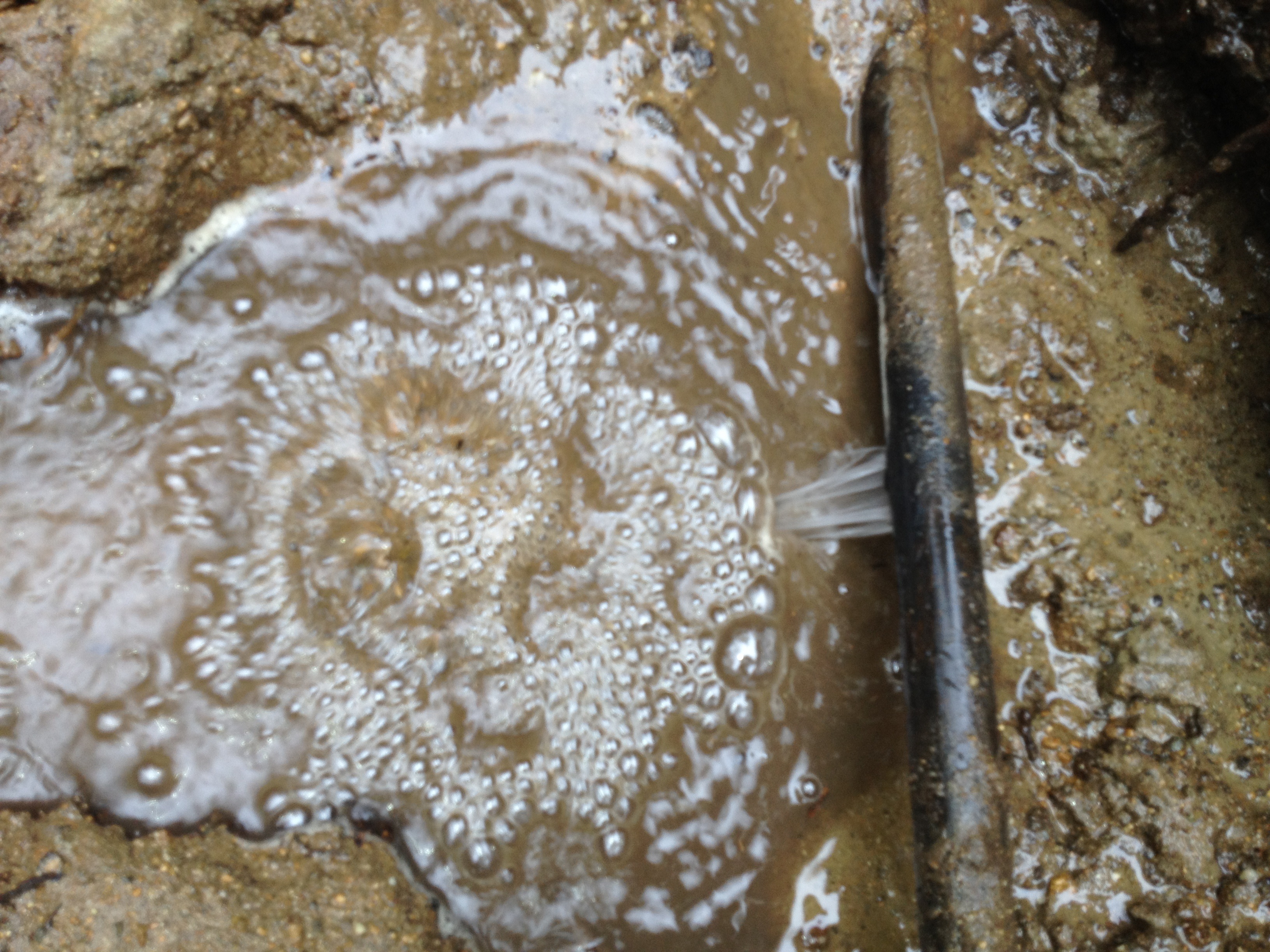 plastic pipe spraying water into a muddy puddle