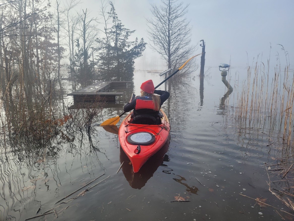 A person in a kayak exploring a flooded marsh area that is normally a walking trail.