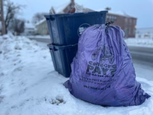 purple PAYT trash bag on the street curbside next to two blue recycling bins