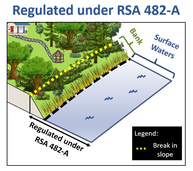 a diagram showing regulated surface waters