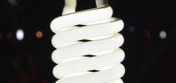 photo of compact fluorescent bulb 