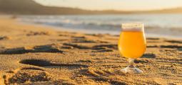 Photo of beer with beach shoreline and water in the background.