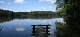 a dock stretches out onto a serene lake