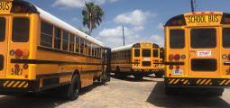 a row of school buses